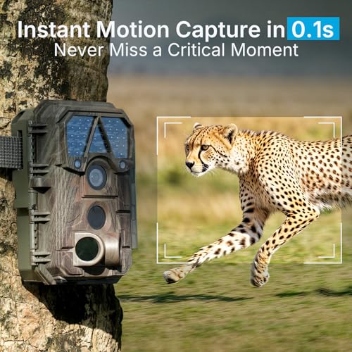 Meidase 2 Pack Trail Camera P70, 64MP HD Night Vision, Waterproof, Motion Activated