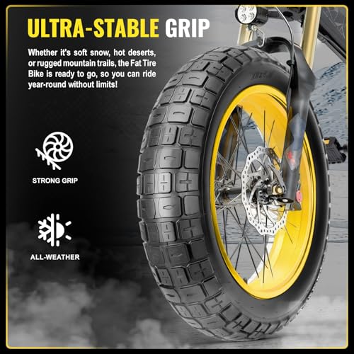 WINFAVO 20x4.0 Inch Fat Bike Tire Set with 2 Tubes, Heavy-Duty All-Terrain Replacement