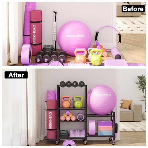 6-Tier Rolling Dumbbell & Home Gym Storage Rack with Adjustable Width
