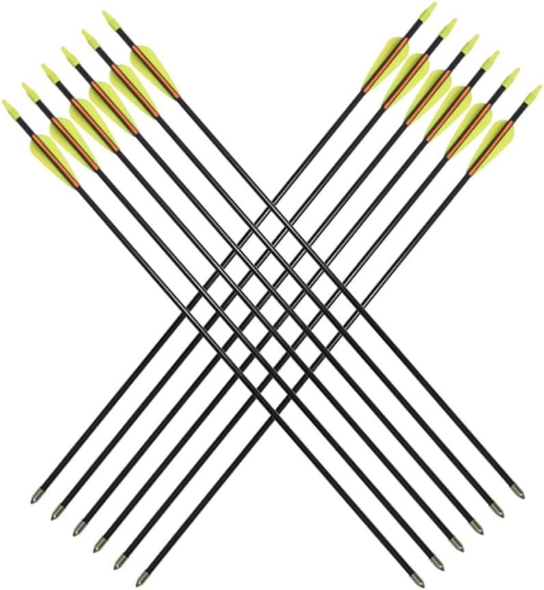 Skiennix Fiberglass Arrows - Target Shooting Safety Glass for Youth & Beginners | 24-30 Inch, 6/12 Pack