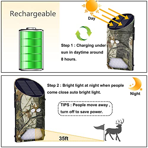 Solar-Powered Hog & Deer Feeder Light with Motion Sensor, 3 Pack