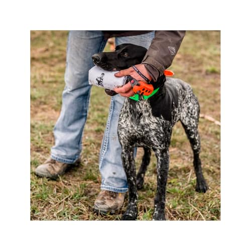 DT Systems Super Pro Bright White Waterfowl & Upland Dog Dummy Launcher - Pack of 1