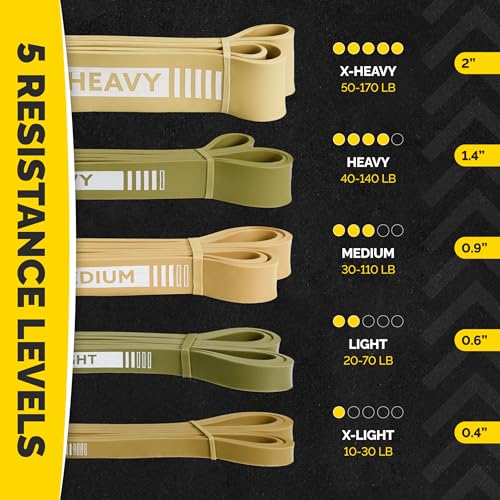 Green Resistance Bands Set with Handles for Workout & Pull Up Assistance - Tribe Lifting