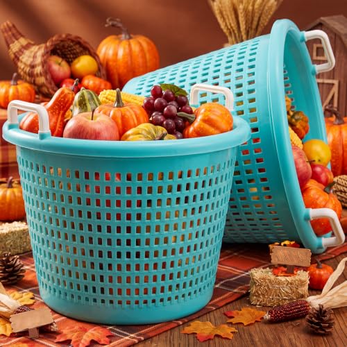 Burbell Heavy Duty Fish Basket 100 lb Capacity - Blue, 19" x 15" Outdoor Seafood Storage