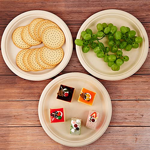 Vplus 500 Pack Compostable 10.25 Inch Sugarcane Fiber Plates - Nature | Bulk Eco-Friendly Dinnerware
