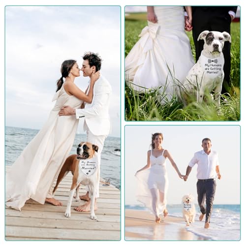 Small Dog Bandana 2-Pack DIY White Triangle Cotton Scarf - Custom Pet Accessory