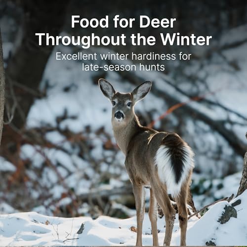No Till Alfalfa Food Plot Seeds for Deer - 1/2 Acre (10 lbs) - Perennial, Heavy Browsing Tolerance
