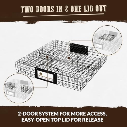 Humane Multi-Catch Squirrel Trap - 1 Pack for Wildlife Control