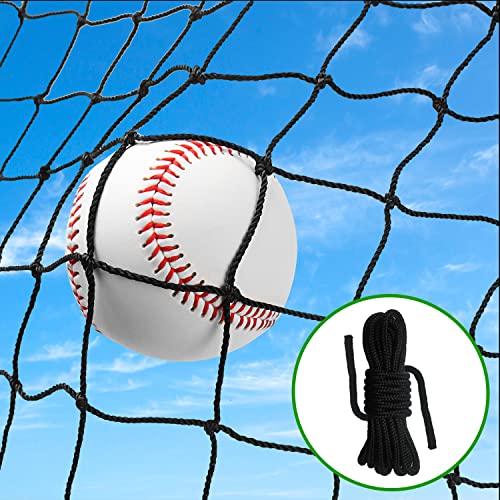 Wiseek 10x40ft Heavy Duty Baseball Softball Backstop Net Barrier & Sports Netting