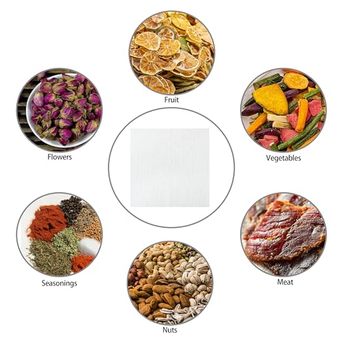 Silicone Dehydrator Sheets 13-Inch Reusable Mesh Mats for Food Drying - 10 Pack