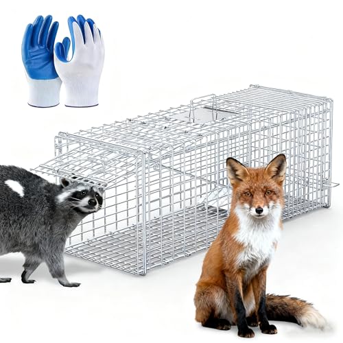 Large Humane Collapsible Animal Trap Cage 37x14x15 Inches for Raccoons Foxes
