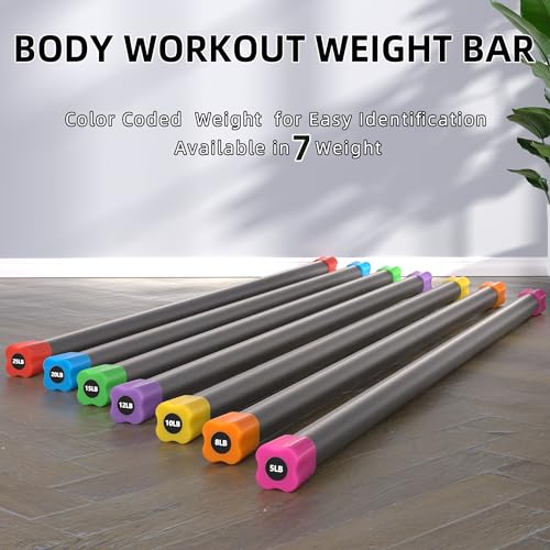 Weighted Bar Set of 3: 5/10/15 LBS Total Body Workout Equipment with Padded Grip