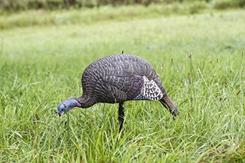 Flambeau Outdoors MD-710 Shady Baby Turkey Decoy - Feeding Hen
