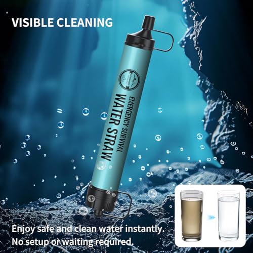 Lormandy Blue 6-Pack Personal Water Filter Straws - Portable Hydration System