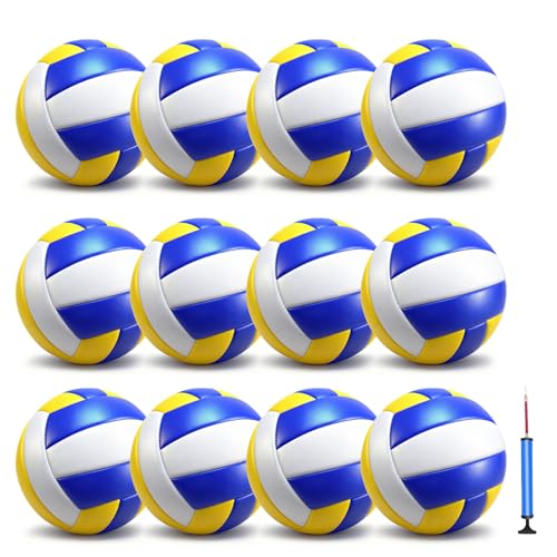 12 Pack Regulation Size 5 Volleyballs for Indoor & Outdoor Play with Pump - Soft & Durable