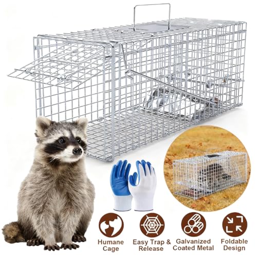 Large Humane Collapsible Animal Trap Cage 37x14x15 Inches for Raccoons Foxes