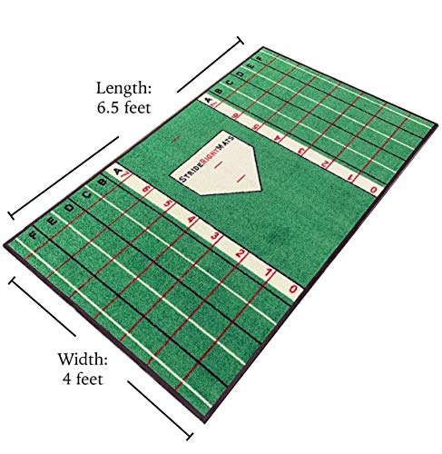 Baseball & Softball Hitting Mat with Visual Feedback Grid and Training System