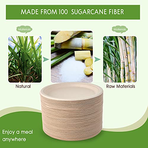 Vplus 500 Pack Compostable 10.25 Inch Sugarcane Fiber Plates - Nature | Bulk Eco-Friendly Dinnerware