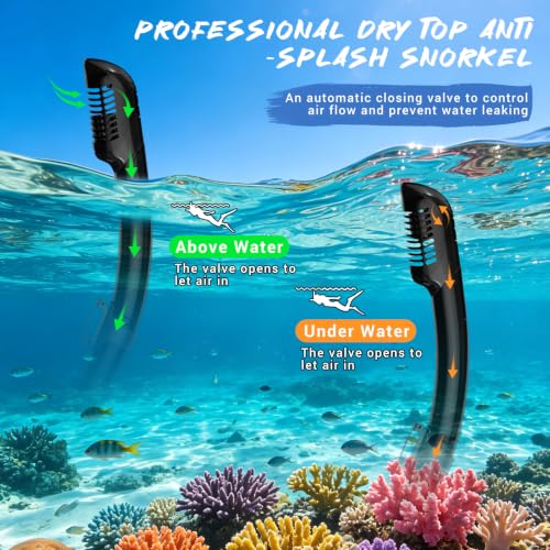Adult Snorkeling Gear Set with Dry-Top Snorkel & Mask - Black