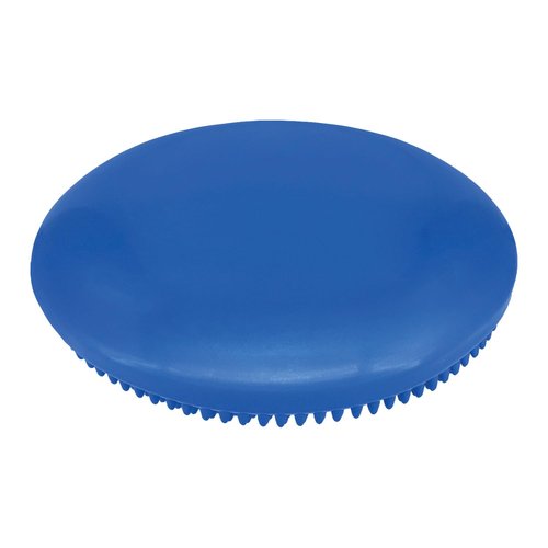 Champion Sports Exercise Disc