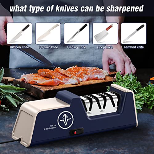 Electric Knife Sharpener for Kitchen Knives with Diamond Abrasives, 3-Stage Precision Edge Guide