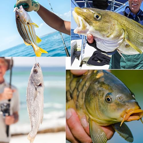 Fishing Sinkers No-Roll Bank Weights for Surf and Saltwater Fishing - Silver 6 Ounce (4pcs)