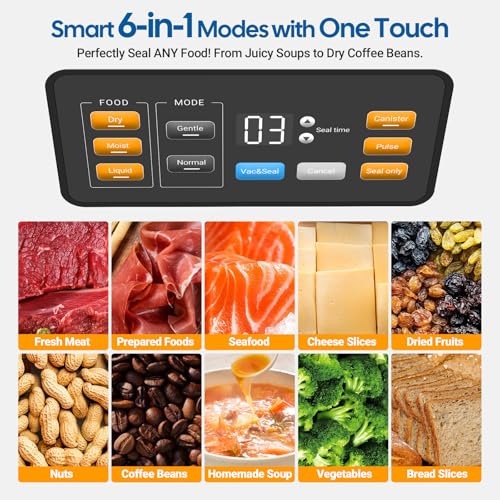 INKBIRD Pro Vacuum Sealer Machine INK-VS04 Silver 160W Dual Pump Liquid Mode