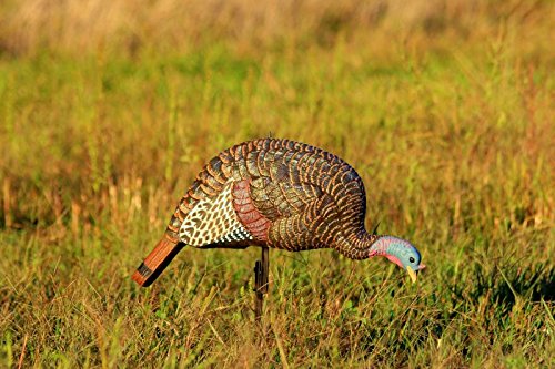 Flambeau Outdoors MD-710 Shady Baby Turkey Decoy - Feeding Hen