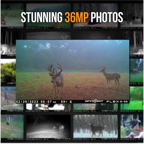 SPYPOINT Flex G-36 Camo Cellular Trail Camera Pack of 1 – 36MP 1080p Video