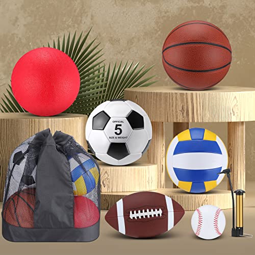 Leyndo 18 Pcs Multi-Sport Balls Set - Brown, Official Size, Carry Bag