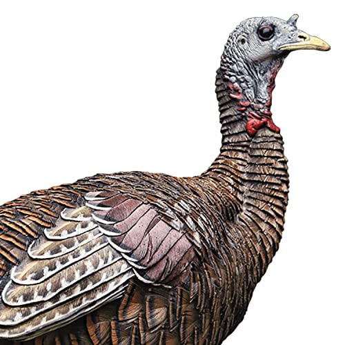 Avian-X LCD Lookout Hen Turkey Decoy - Solid Variation, Realistic Hunting Decoy