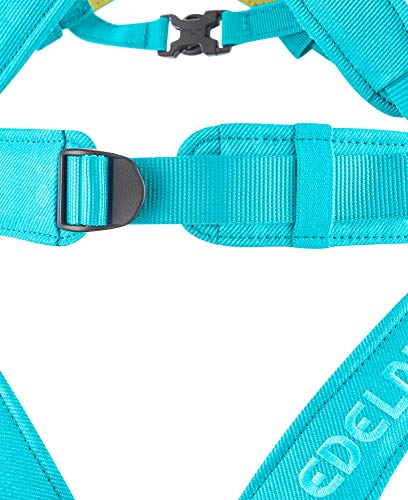 EDELRID Fraggle III Kid's Full Body Climbing Harness - Icemint, 2X-Small