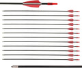 LWANO 28" Fiberglass Arrows - Durable Target Arrows with Blunt Tips for Youth & Beginners | Pack of 12