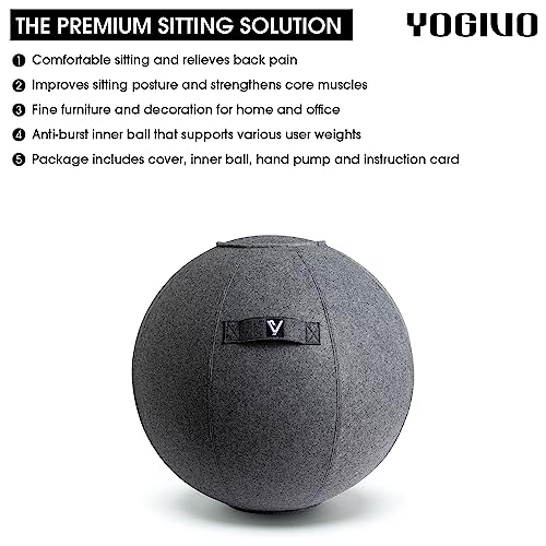 Gray 24-Inch Sitting Ball Chair for Office & Home with Cover, Pump & Handle