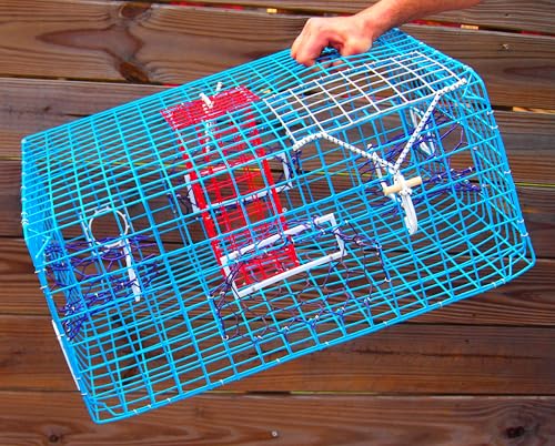 Florida Large Blue Crab Trap - 11x24x24 Saltwater Crab Pot - Heavy Duty PVC Coated Wire - Variation: FL Large Trap Only