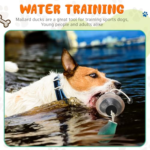 Dog Retriever Training Dummy Set with Mallard Decoy - Orange, Floats Water