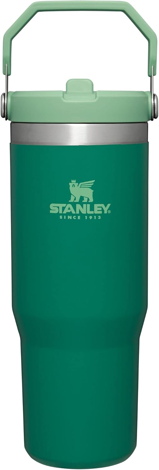 Stanley IceFlow 30 oz Tumbler - Flip Straw & Handle | Insulated, Leak Resistant, BPA-Free | Alpine Color