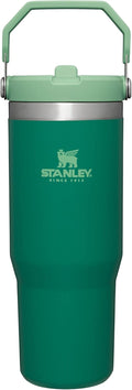 Stanley IceFlow 30 oz Tumbler - Flip Straw & Handle | Insulated, Leak Resistant, BPA-Free | Alpine Color