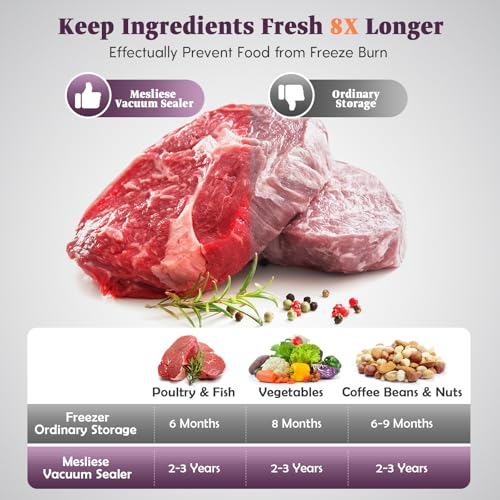 Mesliese Vacuum Sealer with 95kPa Suction, 140W, 20L/min, Silver Gray