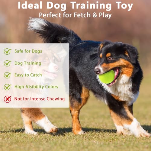 Multi-Color Tennis Balls for Practice & Pets - 90 Pack