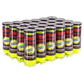Penn Extra Duty Tennis Ball Case - Professional-Grade Hard Court Balls