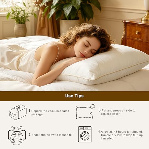 FARINA Queen Size Goose Feather Down Pillows Set of 2 with 600T Cotton Cover