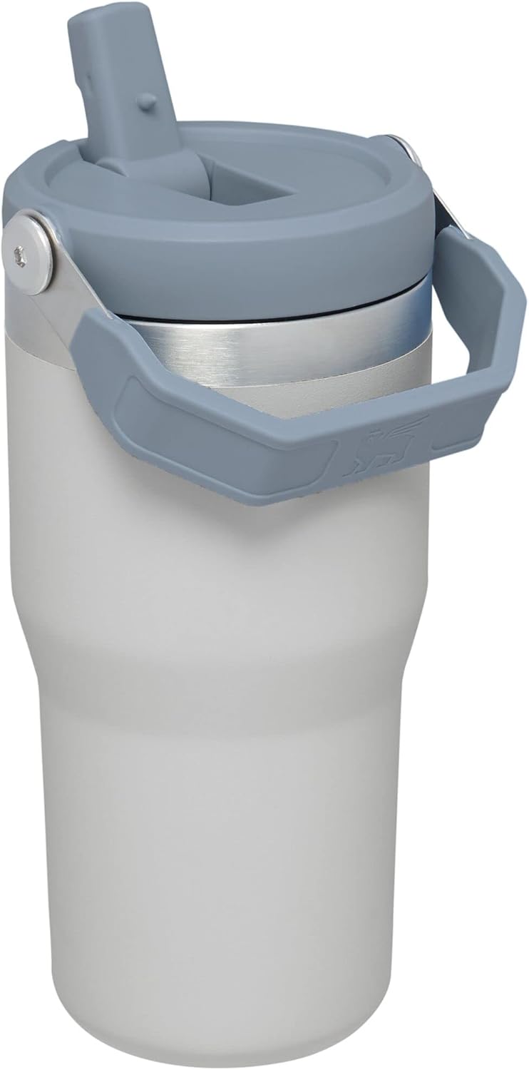 Stanley IceFlow 20 oz Flip Straw Tumbler - Insulated Stainless Steel, Leak Resistant, BPA-Free | Fog