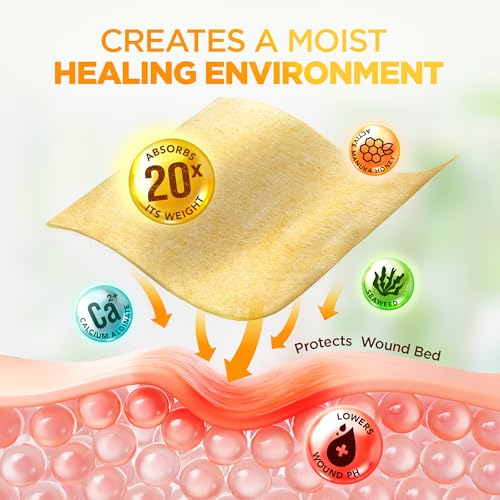 Honey Calcium Alginate Wound Dressing 12 Count - Medical Grade, Non-Adherent