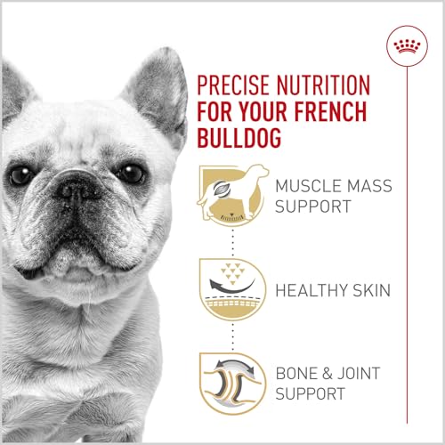 Royal Canin French Bulldog Adult Dry Dog Food 17 lb Bag - Breed-Specific Nutrition