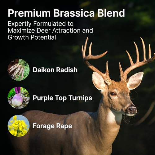 Hit List Seed Brassica Food Plot Seeds for Deer - 1 Acre (6 lbs) Annual Mix