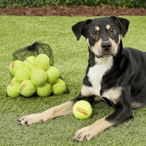 Tourna Pressureless Tennis Balls (144 Pack) - Durable Regulation Size & Bounce