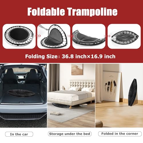 KOKSRY 50 Inch Foldable Rebounder Trampoline with Handle for Adults & Kids, Supports 450 lbs