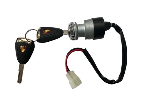 Monroe Truck and Auto Accessories Unique Key Switch, Compatible with ICON Golf carts