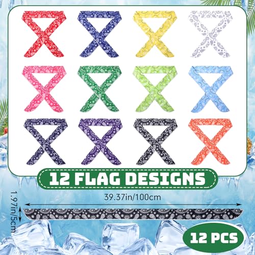 Lenwen 12 Pcs Cooling Neck Wraps Ice Cooling Scarves Summer Bandana Headband Paisley